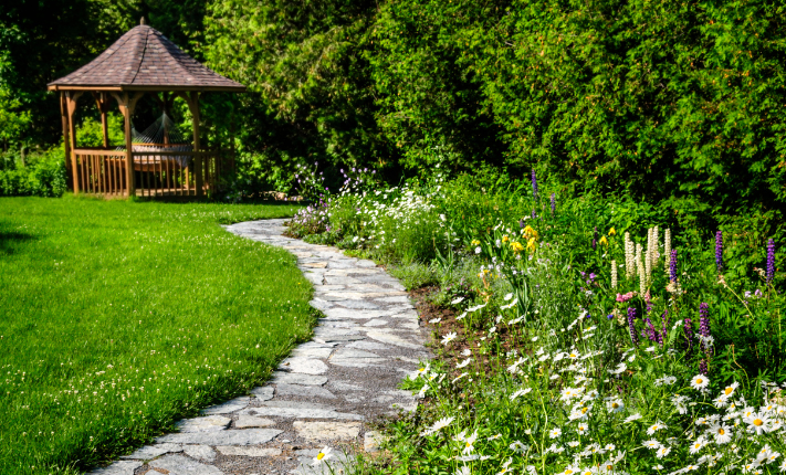 When and How to Plant Wildflower Seeds to Rewild Your Yard